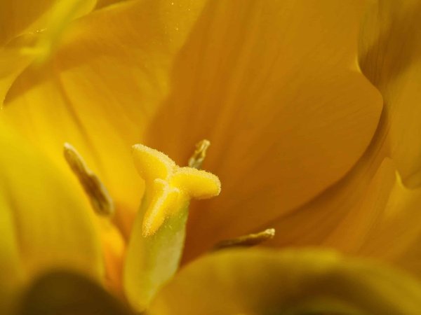 Les jeux vidéo en tant qu'expérience culturelle immersive